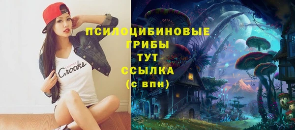 метадон Алексеевка