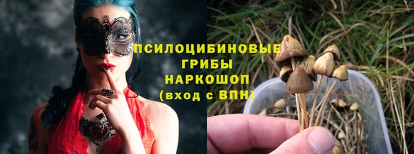 спиды Алексин
